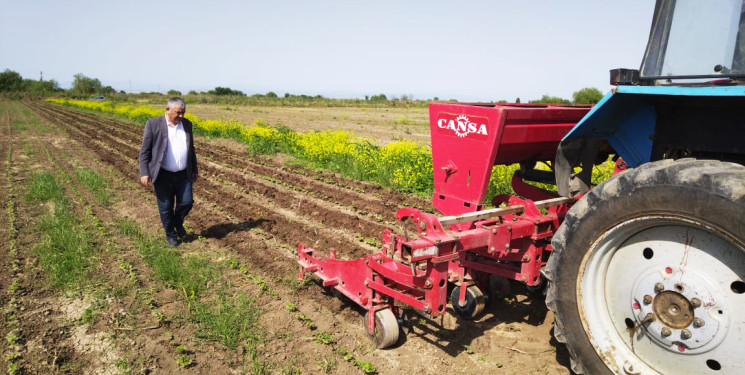 Ağcabədidə 11782.57 ha sahədə pambıq əkini üçün  fermerlərlə müqavilə bağlanmış və şum işləri aparılmışdır.